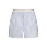 COTTON POPLIN MENS LOGO BAND BOXER | PLATINUM DOUBLE STRIPE FLAT ON A WHITE BACKGROUND | FLT