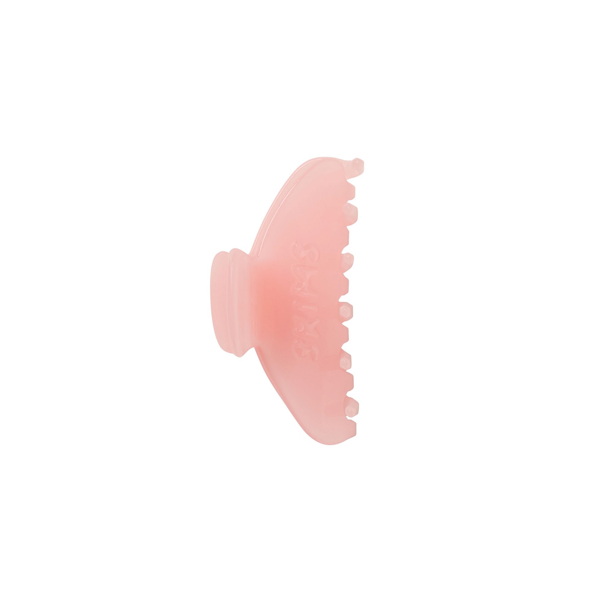 GETTING READY ACCESSORIES EMBOSSED LOGO MINI CLAW CLIP | PEONY FLAT ON A WHITE BACKGROUND | FLT
