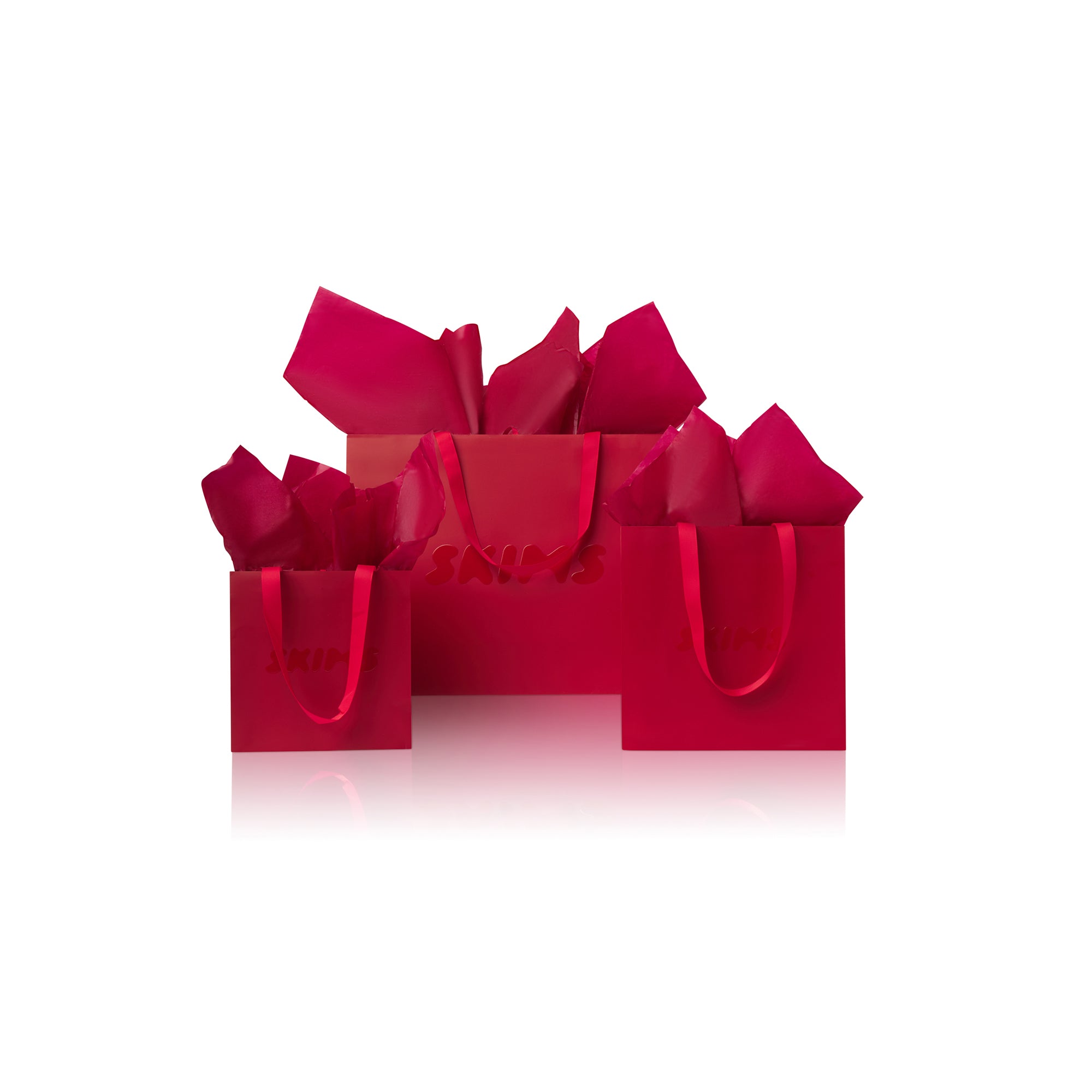GIFT BAG | MATTE RED FLAT ON A WHITE BACKGROUND | FLT
