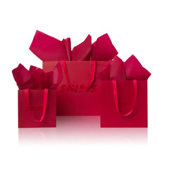 GIFT BAG | MATTE RED FLAT ON A WHITE BACKGROUND