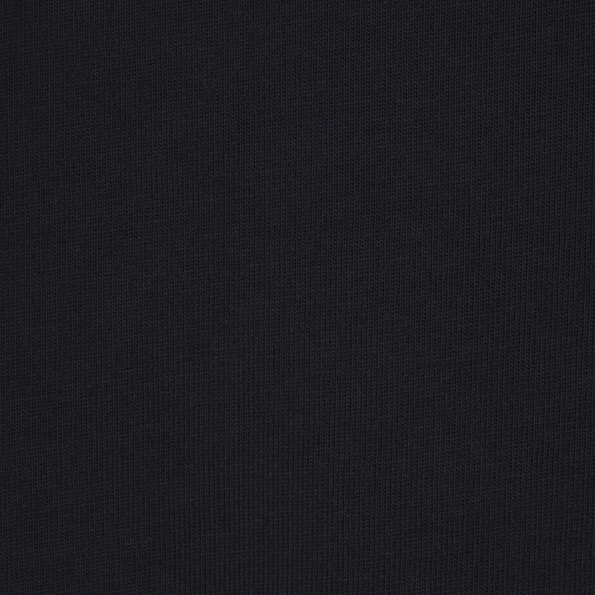 HEAVYWEIGHT COTTON MENS RELAXED T-SHIRT | OBSIDIAN (MENS T-SHIRTS) ON A MODEL FRONT VIEW
